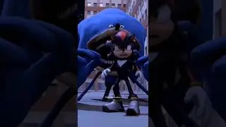 Spider Baldi, Shadow Sonic Fighting Sonic Exe #minecraft #animation #roblox #happy #baldi #sonic
