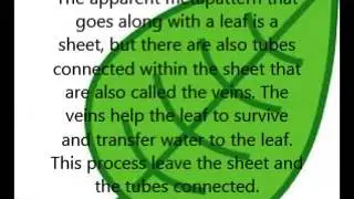 metapatterns