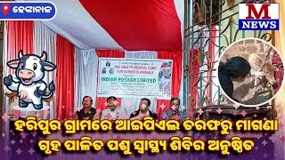 IPL in collaboration with Mission Reconstruction organise Health camp for animals 