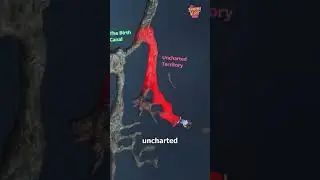 NUTTY PUTTY CAVE ACCIDENT