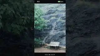 barish me ped podhe ache lagte he