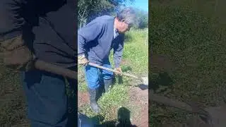 Qu&eacute; l&aacute;stima que no funcionaron las parras.
