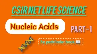📚 CSIR NET / B.Sc / M.Sc Life Science | Nucleic Acids Complete Notes in Hindi