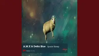 Space Sheep (Original Mix)