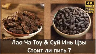 Китайский чай Лао Ча Тоу (Lao Cha Tou) и Суй Инь Цзы (Sui Yin Zi)