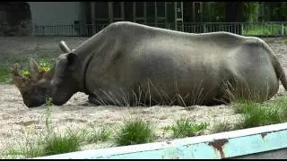 Zoologischer Garten Magdeburg