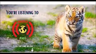 Replay. Radio Anu, Prosperity, Shashamene EWF letter Feb. 2024.