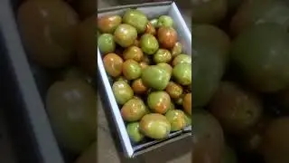Tomato Export to Dubai and Muscut by our Associate Client