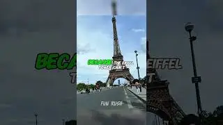A Frog Jumps Higher Than the Eiffel Tower?! 😂