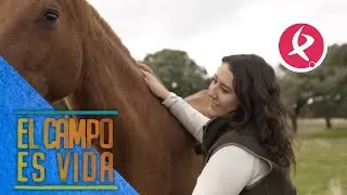 María Mora, veterinaria y ganadera equina, nos presenta su yeguada | El campo es vida