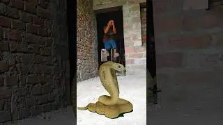 saamp wala video 🐍 snake video सांप वाला saamp ki video #snake #vfx #youtube