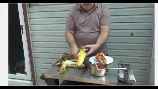 How To Make Grilled Chicken Parmesan And Roasted Corn on The Cob