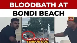 Sydney Terror: Alon Cassuto on 'Horrific' Bondi Hanukkah Attack; PM Albanese Vows to Eradicate 'Evil