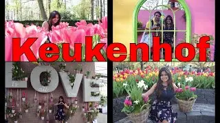 Trip to Keukenhof - Largest Tulips garden in Europe