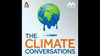 Debt-for-nature swaps: Greenwashing or a win-win solution?