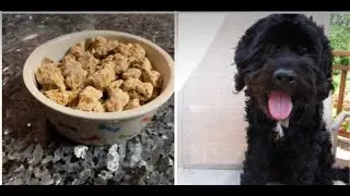 HOW TO MAKE DOG TREATS - EASY RECIPE - Sweet Potato, Oat Meal, Peanut Butter - Bake, Healthy Baking