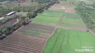 FARMLAND: Rice Farm near Granada