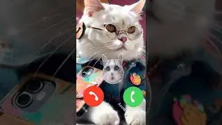 Cute Cat Ringtone Effect 🎶 🎶🎶 sounds effect #catcalling #shorts #ringtone
