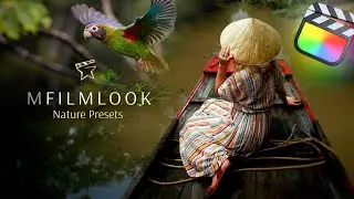 Highlight the beauty of the natural world with mFilmLook Nature Presets &mdash; MotionVFX