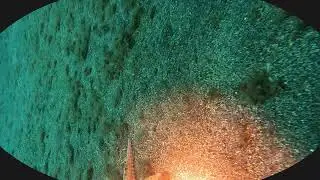 20250114 RADAZUL