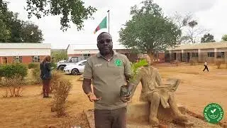 Climate Workshop and Tree Planting at Bimbe Primary School in Chongwe