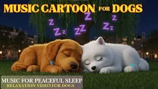 Music Cartoon for Dog:  Fun & Relaxation for Bored Dogs Home Alone - Cartoon and Relaxing Music