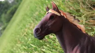 Schleich Amigos Music Video: Just Like Fire
