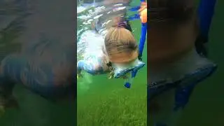 Scallop Season 2024