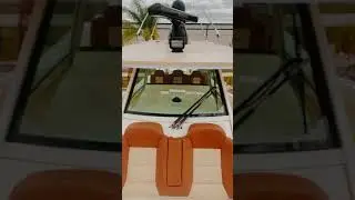 42&rsquo; Scout