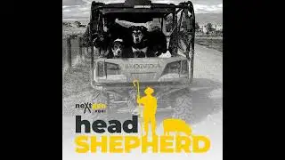 Head Shepherd Live at the World Angus Forum