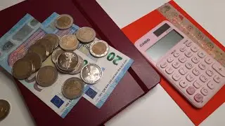 Monatsabschluss🐈 Wie viel habe ich gespart? Mystery Money Challenge| Sparen mit der Umschlagmethode