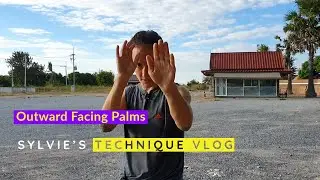 Sylvie's Technique Vlog - Guard: Palms Facing Outward