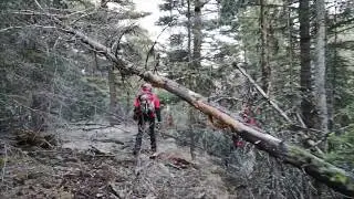 GSAR training 2019: Grid searching