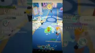 pet pods openings in overlook bay on Roblox