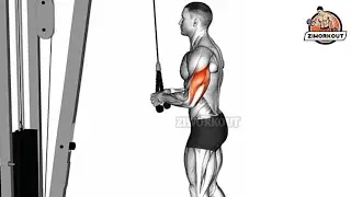 How To Do Cable Pushdown | Tricep Exercise!
