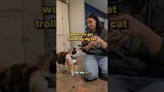 ладно, в ее защиту я думаю, что она действительно пыталась мне сказать 🤣 #времятаблеток
