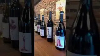 Santa Clara Valley Wine Trail | Morgan Hill, California