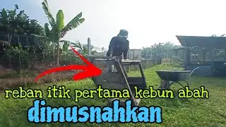 [Episod1057] lau pertama dlm sejarah kebun abah dimusnahkan. projek cuci sekitar kawasan reban ayam