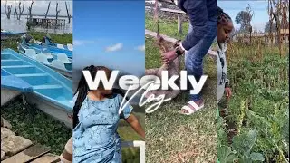Weekly vlog:maintenance+swimming+eastleigh haul+visiting shosh☺️