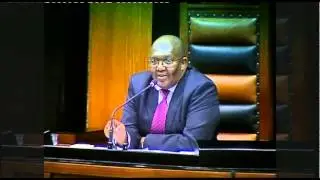 Parliament Plenary: EFF calls Deputy of Defence a 