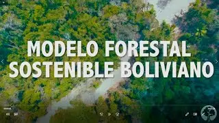 Modelo Forestal Sostenible Boliviano