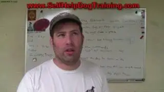 Combining Obedience and Bite Work