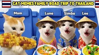 CAT MEMES: FAMILY ROAD TRIP TO THAILAND