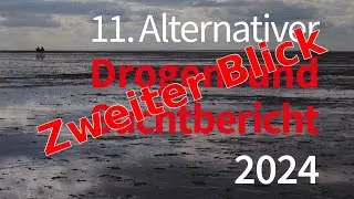 Weitere Passagen aus dem Alternativen Drogen- und Suchtbericht 2024 (Teil II)