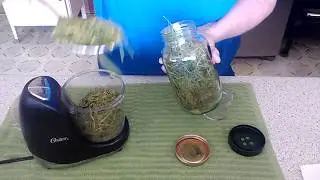 COME WATCH AS I MAKE CHIVE POWDER PART 2
