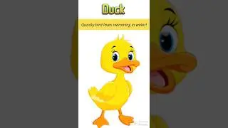 Learn Colours With Animals #viral #trending #shorts #youtubeshorts #viralshorts #shortvideo