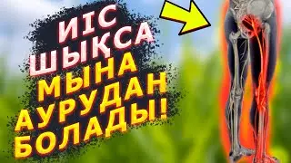 АЯҚ ТЕРЛЕСЕ НЕ ІСТЕЙМІЗ, ТҮНДЕ ТЕРЛЕП ҰЙЫҚТАУДЫҢ СЕБЕБІ, Керек арнасы, Аяқ терлеп иіс шықса, Иіс