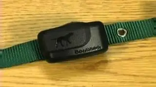 DogWatch&reg; - What are the features on my receiver?