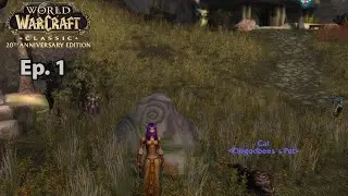 World of Warcraft Classic Anniversary Hunter Leveling-No Commentary | Part 1