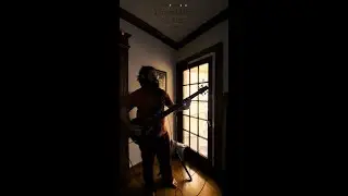 Things I Miss The Most - Steely Dan (Bass Cover by Will Doran)